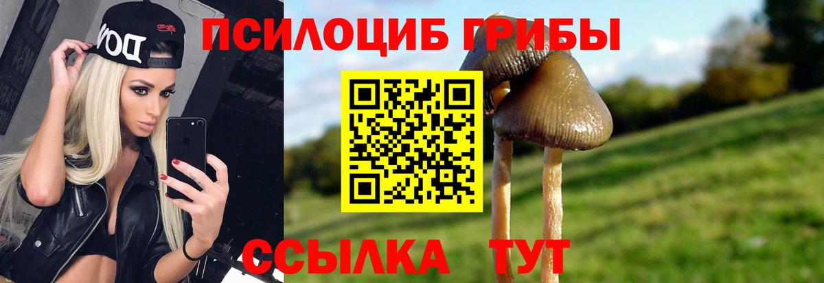 Галлюциногенные грибы Psilocybe  Вход с VPN  Новый Уренгой 